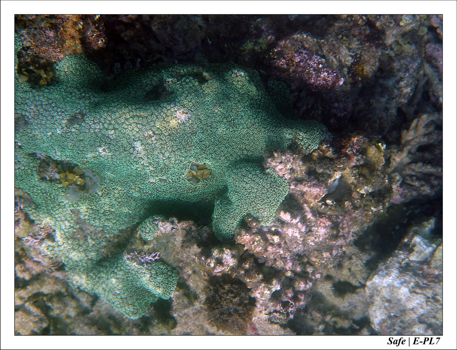 2018 - 08 - Pulau Tinggi - 17